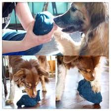 D I Y Jouet Pour Chien Ultra Resistant Jouet Chien Jeu Chien Chien