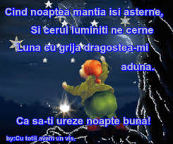 Noapte buna somn usor, sa visezi un puisor, puiul cela voi fi eu, vreau sa ma visezi mereu! Imagini Si Gif Uri Noapte Buna