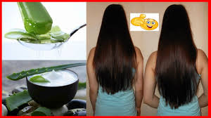 Accelerer La Pousse Des Cheveux Avec L Aloe Vera En Combo Ou Pur Pousse Des Cheveux Faire Pousser Les Cheveux Faire Pousser Les Cheveux Plus Vite