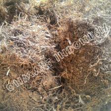 Gambut gambut disebut rawa atau sphagnum moss. Sphagnum Peat Moss Gambut Lumut Media Tanam Lokal Shopee Indonesia