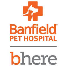 Associate veterinarian at banfield pet hospital join banfield today and make a better world for pets in the virginia beach area! Banfield Pet Hospital Veterinarian Salaries In The United States Indeed Com