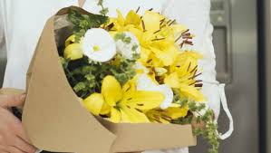 Like why veterinary care is so darn expensive. From Dairy Flowers To Designer Look For Under 20 Stuff Co Nz