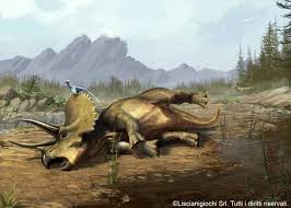 Dead Triceratops Artwork By Akeiron On Deviantart A Dead Triceratops Horridus Triceratops Art Prehistoric Animals Prehistoric Creatures Dinosaur Sketch
