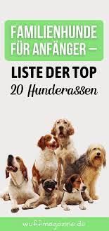 familienhunde fur anfanger liste der top 20 hunderassen in 2021 hunde rassen hunde hunderassen
