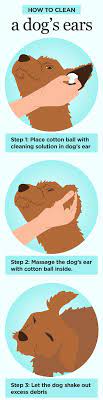 How To Clean A Dog S Ears With Vinegar Water Cuteness Dog Care Dog Grooming Pet Health