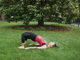 14 Yoga Poses That Will Tone Your Entire Body This Summer Yoga Poses Types Of Yoga Bikram Yoga