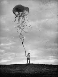 Sign Up Art Art Photography Surrealism