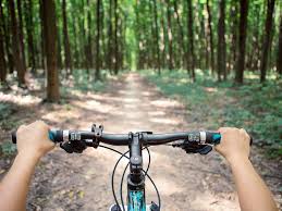 Hiking/biking trails at smithville lake. 21 Bike Trails In South Jersey Visitsouthjersey Com