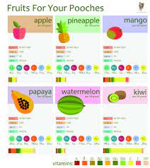 Fruits For Dogs Graphic Fruits For Dogs Can Dogs Eat Pineapple