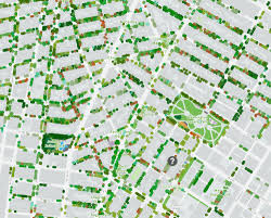 Check spelling or type a new query. New York City Street Tree Map