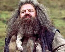 Before and afters (longer hair). Wild Hair Tv Tropes