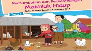 Kunci Jawaban Tema 1 Kelas 3 Sd Halaman 28 41 Buku Tematik Pertumbuhan Perkembangan Makhluk Hidup Tribun Palu