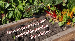 How To Prepare A Garden For Winter Fall Gardening Tasks The Homestud