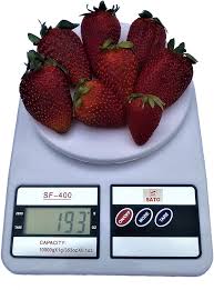 Kitchen scale 10kg weights ireland. Buy Sato Digital Kitchen Food Scale Sf 400 Cooking And Baking Weight Gr Lb Oz 22 Lb 10 Kg With Tara Scale Kitchen Accurate High Precision Color White Online In Germany B084vhcbkr