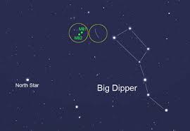 Image result for galaxy m81