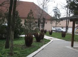 Fără medicamente pentru pacienţii covid. Spitalul Clinic De Boli Infectioase Si Pneumoftiziologie Dr Victor Babes Timisoara Harta Adresa Date De Contact Si Pareri