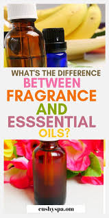 Fragrance Oil Vs Essential Oil What S The Difference Fragrance Oils Vs Essential Oils Fragrance Oil Blends Essential Oil Fragrance