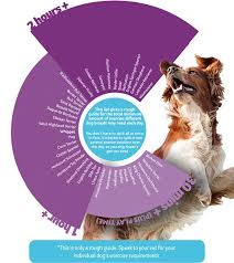 Unfortunately, i can't quote the cost of a spay/neuter surgery. Vet Q A Will Neutering Calm My Dog Pdsa