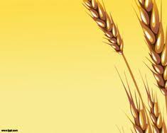 2,000+ vectors, stock photos & psd files. 200 Power Point Backgrounds Ideas Background Powerpoint Powerpoint Background Templates Powerpoint