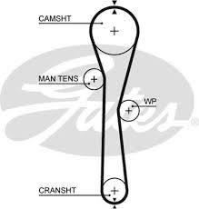 Skuszony pozytywnymi opiniami użytkowników oraz stosunkiem cena/jakość 3 miesiące temu rozpocząłem swoją przygodę z marką dacia.kolejnym czynnikiem który zmobilizował mnie do zakupu to atakcyjna. Kit Distributie Dacia Logan Ls 1 2 16v Lpg Benzina Autogaz Gpl 75 Cai