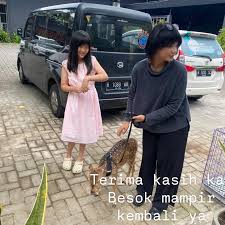 Sesi edukasi