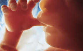 Sarcina pe saptamani (odiseeea sarcinii) este o calatorie de 280 de zile organizata in 40 de saptamani. Sarcina Pe Saptamani Poze Sarcina Pe Saptamani Video