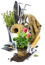 Check spelling or type a new query. Garden Tools Png Hd 31858 Transparentpng