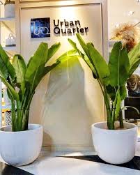 Pot Terrazzo Dan Pisang Pisangan Bali Jika Anda Ingin Mendekor Rumah Dengan Tanaman Indoor Pohon Pisang Bali Ini Cocok Dan Tahan Tanaman Indoor Tanaman Bunga