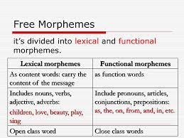 We hunt for all the latest free stuff from big brands (so you don't have to!) Introduction To English Morphology Ppt Download