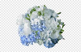 We did not find results for: Flower Bouquet Hydrangea Wedding Rose Flower Blue Flower Arranging White Png Pngwing
