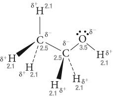 It includes the general shape of the molecule as well as bond lengths, bond angles, torsional angles and any other geometrical parameters that determine the position of each atom. Http Www Preuniversitycourses Com Resources Chem12 Sm 04 5 Pdf