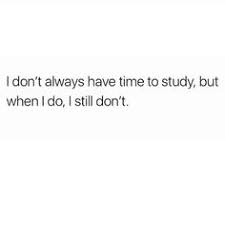 Check out these senioritis instagram captions that will help you until graduation. 40 Senioritis Ideas Funny Quotes Senior Quotes Relatable