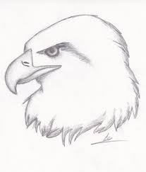 See more ideas about pencil drawings of animals, drawings, pencil drawings. Drawings Pencil Drawings Of Animals Animal Sketches Easy Easy Animal Drawings