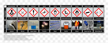 Hazard Symbols Chart Health Hazard Symbol With Example Hd Png Download Vhv