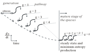 The negentropy principle in terms of an evolution pathway. The ...