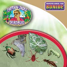 Caterpillar Moth Eastern Tent Caterpillar Habit Caterpillar Deadbug Brew®  Dust – Captain Jacks