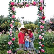 Taman Begonia Kebun Bunga Romantis Di Lembang Bandung Taman Bunga Kebun Bunga Bunga