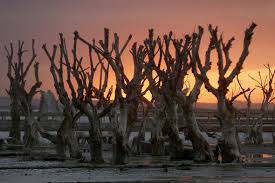 But before you make the appointment: Villa Epecuen Photos Of Eerie Ghost Town That Has Risen From Floodwaters After 30 Years