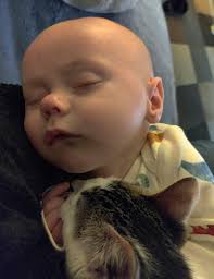 This is Declan & Gibson