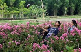 Maybe you would like to learn more about one of these? Karena Selfie Taman Sakura Keputih Rusak Sebarkan Org