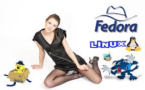 2,737 likes · 10 talking about this. Sandra Model Papel Fedora Promo Gimp Linux 1920x1200 00 Flickr