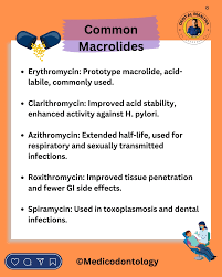 Image result for Extended Spectrum Macrolide