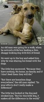 This Hit Me Hard Dogs Cute Stories Cute Animals
