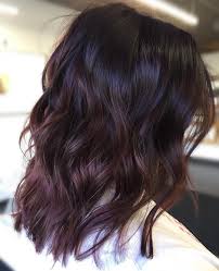 We fully believe that light brown hair is magic—it complements anyone and everyone. 30 Best Purple Hair Ideas For 2020 Worth Trying Right Now Hair Adviser