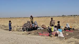 الأمم المتحدة: أطفال دارفور وصلوا لمرحلة حرجة تحت وطأة الجوع الشديد والعنف