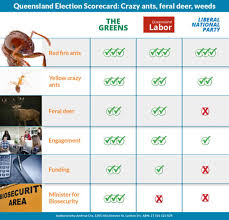 Queensland Election Scorecard Crazy Ants Feral Deer And Rampant Weeds