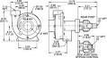 BSP Thread Chart with BSPT BSPP Pipe Fittings. - RYCO