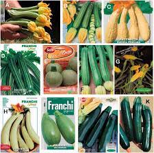 Check spelling or type a new query. Italian Horticultural And Culinary Records Of Summer Squash Cucurbita Pepo Cucurbitaceae And Emergence Of The Zucchini In 19th Century Milan Abstract Europe Pmc