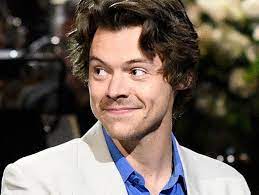 Harry styles nem a marvel comentaram o assunto. Harry Styles Em Filme Da Marvel Popline