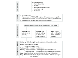 Main Study Flow Chart Legend Hb Haemoglobin Fe Iron